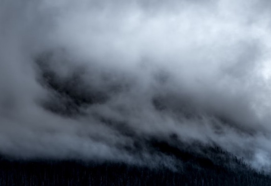 Nathan Anderson - unsplash