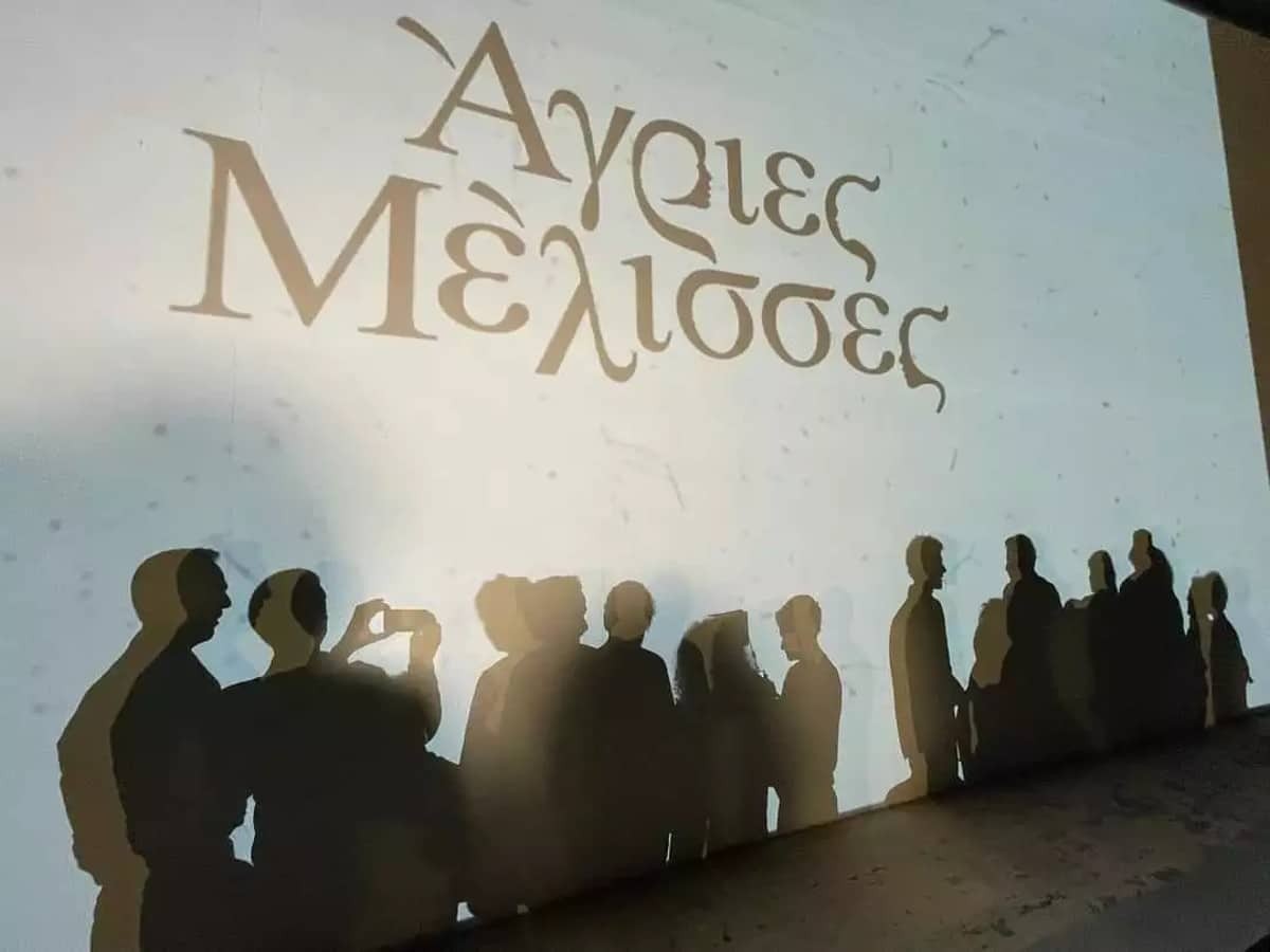 Άγριες Μέλισσες ανάρτηση Γιώργου Γεροντιδάκη