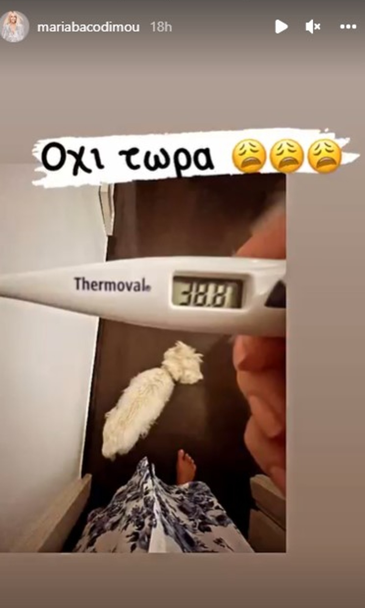 Ακυρώθηκε τελευταία στιγμή η πρόβα της Μπακοδήμου