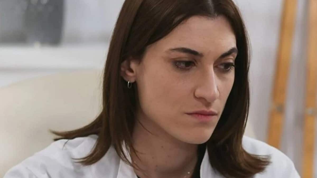 Γη της Ελιάς