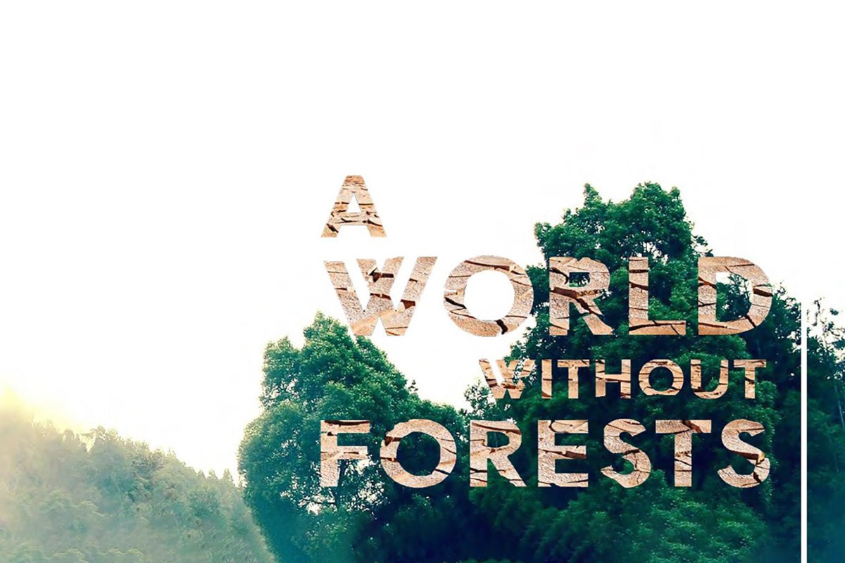Ένας Κόσμος Δίχως Δάση