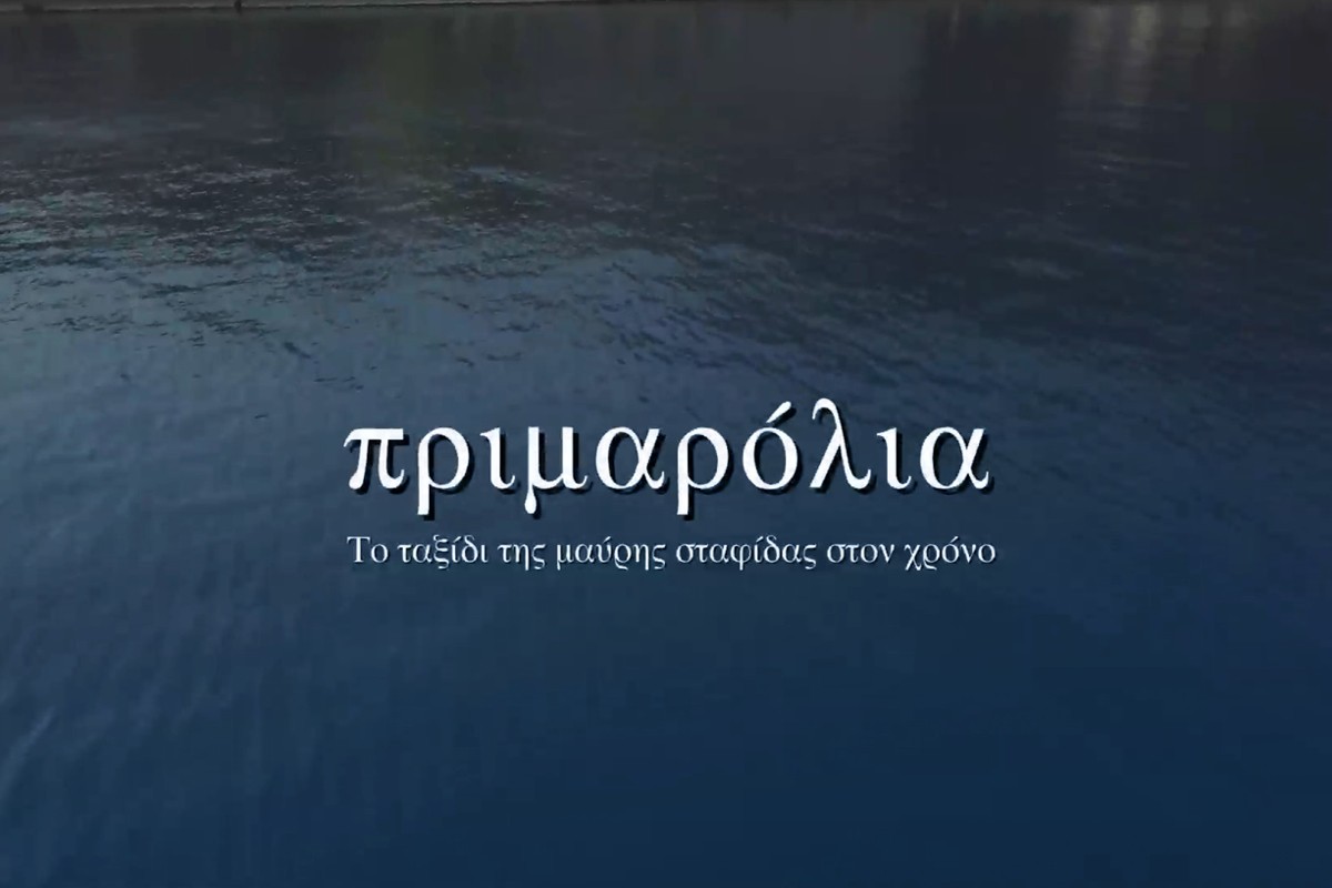 Πριμαρόλια: Το Ταξίδι της Μαύρης Σταφίδας στον Χρόνο (Ε)