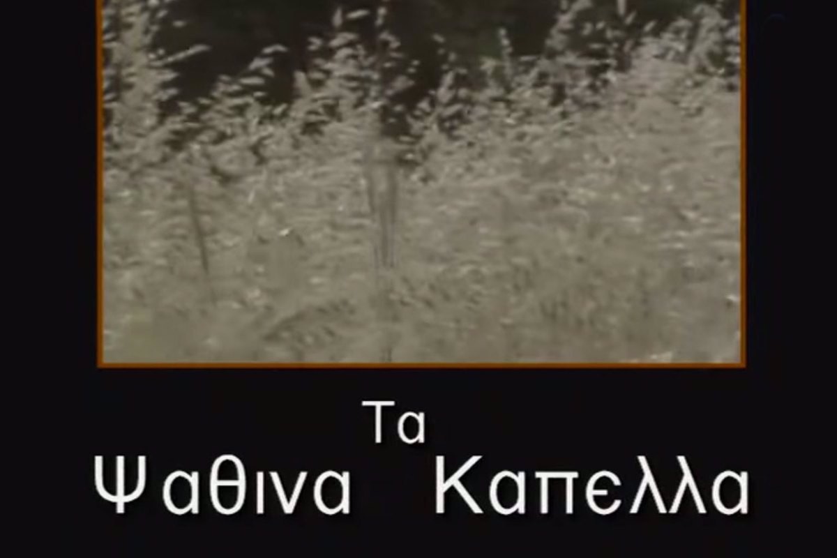 Τα Ψάθινα Καπέλα (Ε)