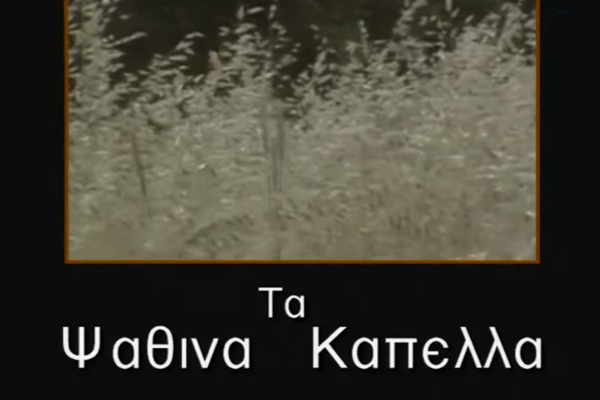 Τα Ψάθινα Καπέλα Ε1 (Ε)