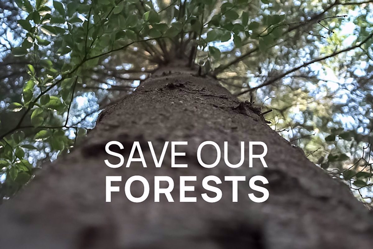 Σώστε τα Δάση μας Ε1