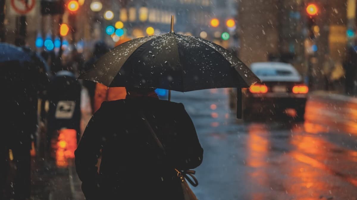 Unsplash - Osman Rana
