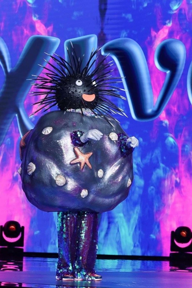 The Masked Singer Αχινός